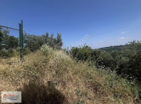 Çepni'de 2.146 M2 Uygun Fiyatlı Fırsat Arazi