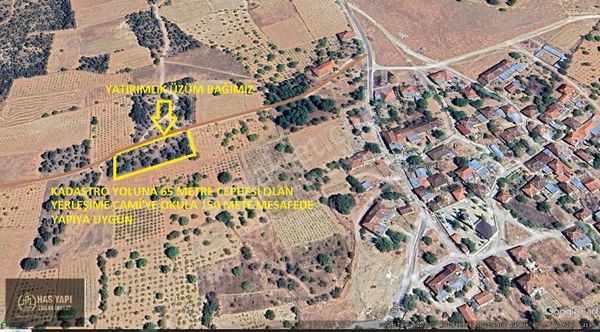 Uşak Karahallı Kavaklıda Yerleşime 150 Metre Mesafede Üzüm Bağı