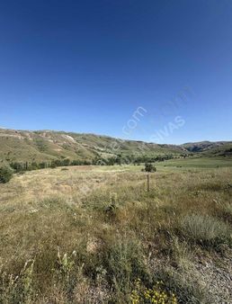 Kabze Emlaktan Sivas Merkez Çerçideresinde Satılık Tarla..!!