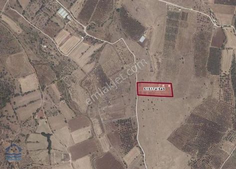 Foça Yenibağarasında 674 M2 Satılık Hisseli Tarla