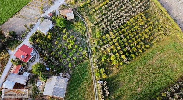 Kadıköy'de Satılık 3,5 Dönüm Bahçe