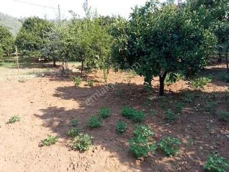 Falcon Dan Yanıklar Da 1367m² Müstakil Tapu