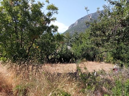 Falcon Dan Üzümlü De Fırsat 3000m² 10/20 İmarlı Arsa