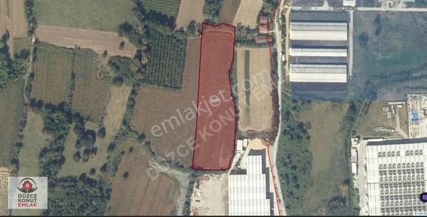 Düzce Konut Emlak Çilimli 1.927,73 M2 Tarla