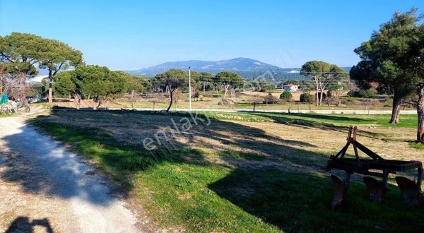 Yıldırım Mühendislikten Çamlıyurt Mah"2.100 M2" Köyiçi İmarlı !