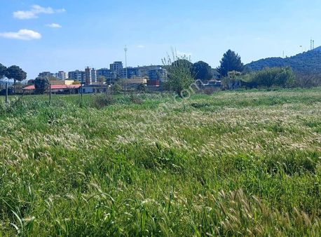 Yıldırım Mühendislik'ten Burgaz Mah."6.222 M2" Verimli Düz Tarla