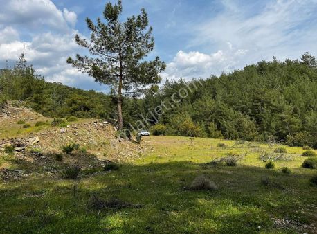 "3.630 M2"150 M² Ev Yapılabilir İmar İzni Alınmış İmarlı Tarla