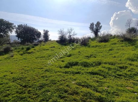 Yıldırım Mühendislik'ten Ören Güreğiz Mah. "6.521 M2" Tarla