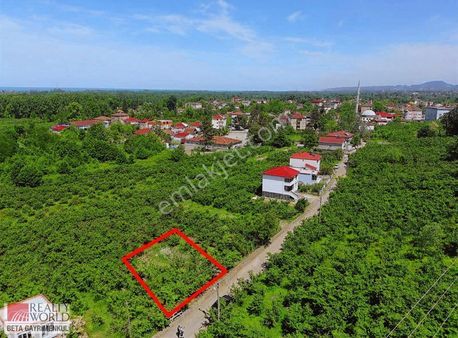 Rw. Beta Samsun / Terme'de Tek Tapu 221 M² Arsa Satılık!