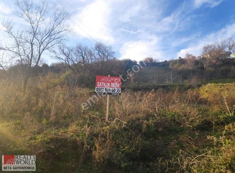 Rw-beta Taflan Un Fabrikasının Çapraz Inda Satılık Arsa