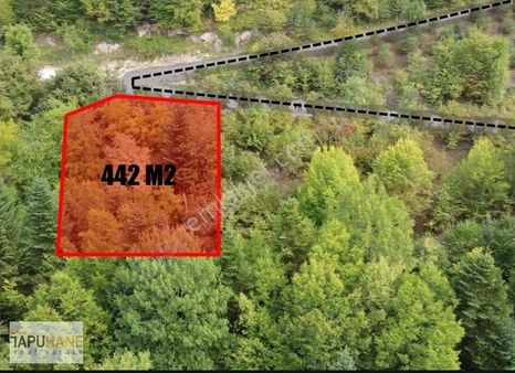 Tapuhane'den Dikmen Mah.de Satılık 442 M2 Arsa