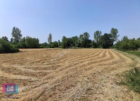 Dıalog İdeal'den Tahtalıda Satılık Bahçe