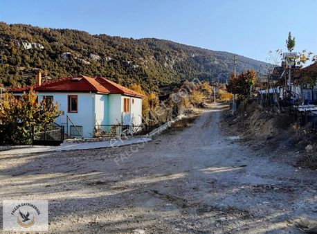 Falcon Dan Yayla Ceylan Da 6250m²