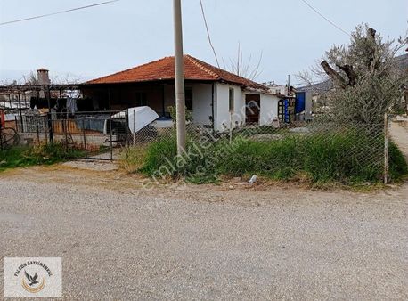 Falcon Dan Çatalarık Ta Fırsat 1050m²