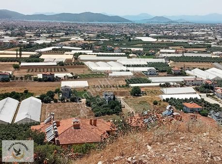 Falcon Dan Çalıca Tepesi Muhteşem 550m²arsa