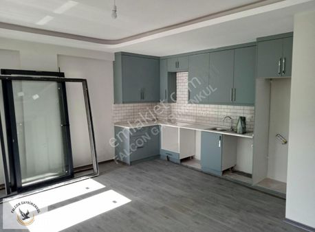 Falcon Dan Akarca Da2+1