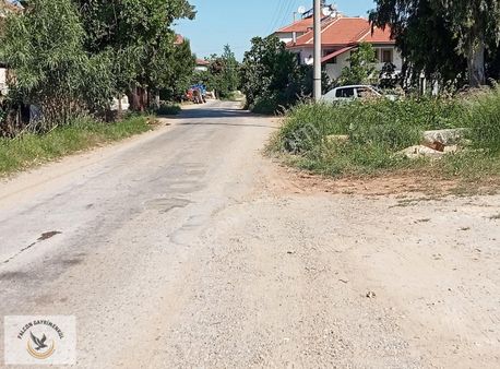 Falcon Dan Bozyer De Fırsat 411m²