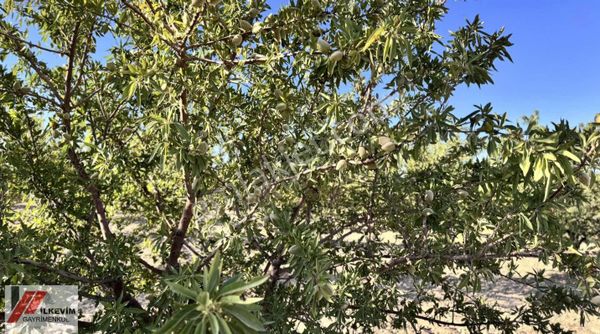 World İlkevim'den Akziyaret Yakını Yatırımlık Parseller