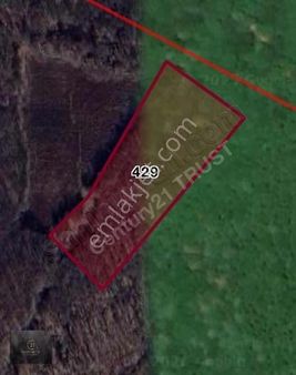 Karacabey/yarış Mah. Satılık Tarla