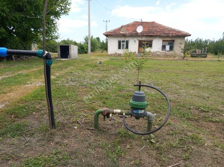 Asil Emlaktan Gölcayırda Hayvancılık Yapmaya Uygun Hesaplı Komple Bahçe Tarla Ev