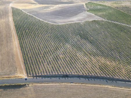 World İlkevim'den Müstakil Çift Parsel Satılık Bademlik-videolu
