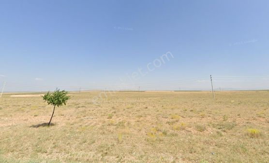 Çumra Alibeyhüyüğü'nde Çok Uygun Fiyatlı Satılık 38826 M2 Tarla