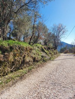 Alanya Mahmutseydi Mahallesi Satılık 255m2 Tarla