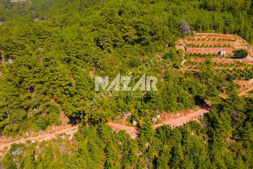 Alanya Obaalacami Mahallesi'nde Satılık 2.001 M² Tarla