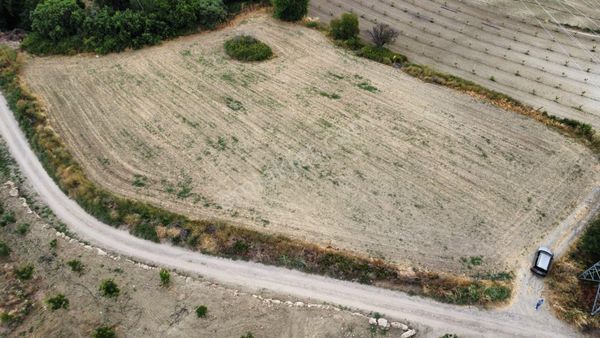 Musaköy'de 4800 M2 Kadastrol Yola Cepheli Satılık Tarla Han Emlak'tan