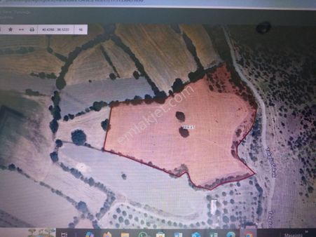 Satılık Tarla Anas Emlak Tan