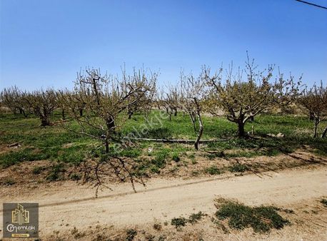 Sazlıca Aşağı Mah. 522 M2 Satılık Arsa Cm Emlaktan