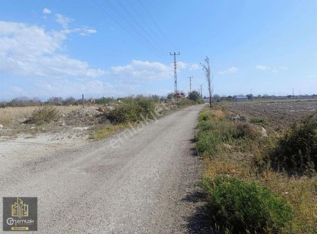 Cm Emlak Kemerhisar İmara 250 Metre 2900 M2 Bağ