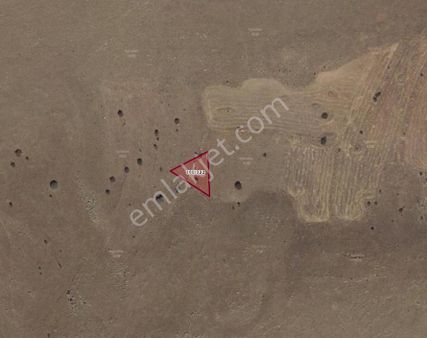 Molu'da Satılık Tarla