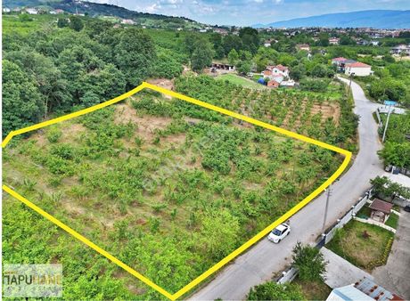 Tapuhane'den 5 Dönüm + (9 Dönüm 2b Arazisi) Satılık Fındıklık