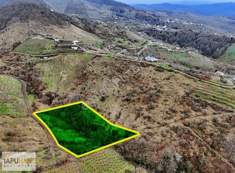 Tapuhaneden Bıçkı Atik Köyünde 3898 M2 Satılık Arsa !!