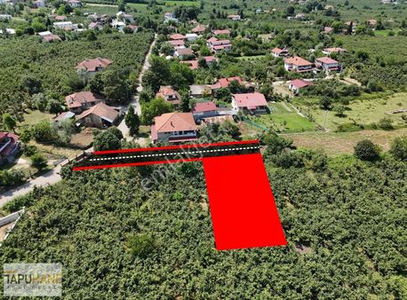 Akyazı Cumhuriyet De 480m2 İmarlı Arsa Elektrik-su-doğalgaz