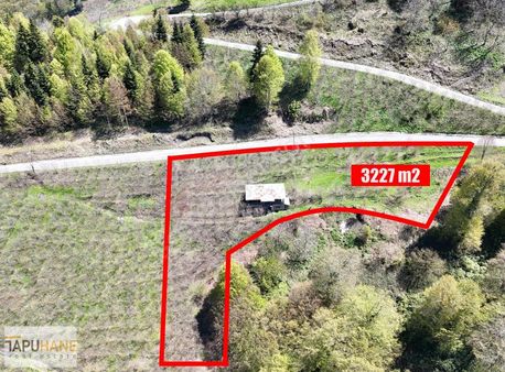 Tapuhane'den Satılık Fındık Bahçesi Ve Ev