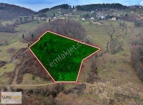 Tapuhaneden Karadere Mah. De 12.851 M2 Satılık Arsa !!