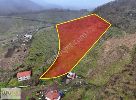 Tapuhaneden Bıçkı Atik Köyünde 14.209 M2 Satılık Arsa !!