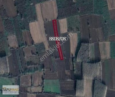 Tapuhane'den 1390 M2 Satılık Arsa