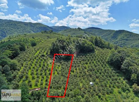Tapuhane'den Aksu Mahallesinde İmarlı Satılık 1,741 M2 Arsamız
