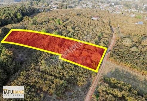 Tapuhane'den Satılık 2880 M2 Fındıklık