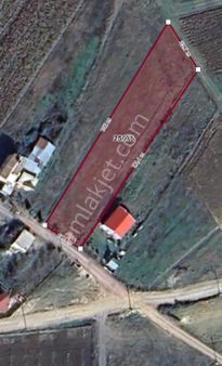 Körfez Cuma Köyü 1915 M2 Tek Tapulu Köye Yakın Satılık Tarla.