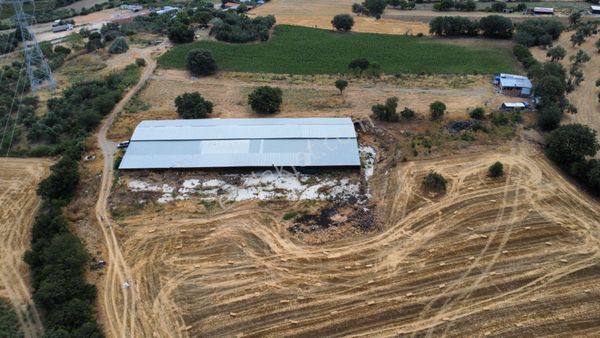 Musaköyde 3750 M2 Satılık Satılık Çiftlik Han Emlak'tan