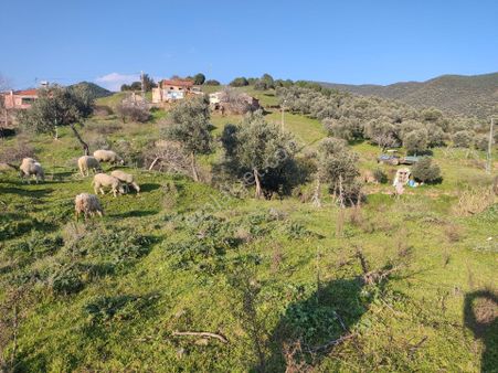 Doğa Gayrimenkulden Satılık Yatırımlık Arsa!