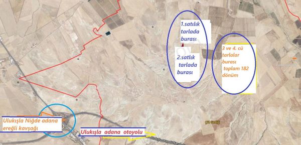 Ulukışla Alpagutta 400 Dönüm Satılık Tarla