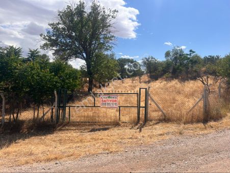 Çınar Emlak'tan Satılık Bağ