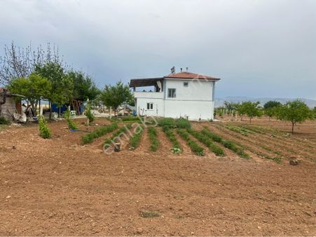 Akçadağ Karapınarda 15 Dönüm Satılık Kayısı Bahçesi Ve Üzüm Bağı