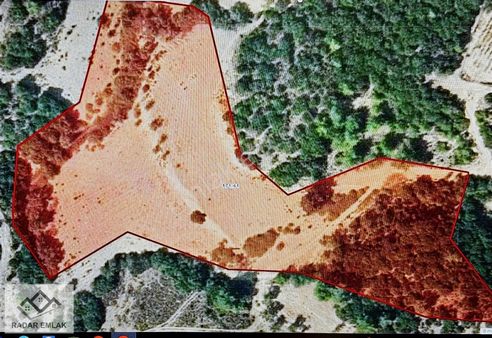 Seferihisar Beylerde Baraj Yakını 15250 M2 Tarla