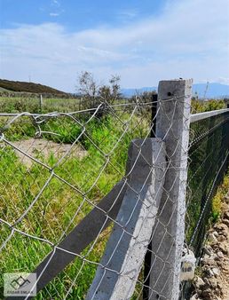 Menderes Tekeli'de Yatırımlık Müfrez Tapulu 326 M² Tarla